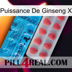 Ginseng Power X new14